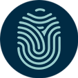 Icon primary